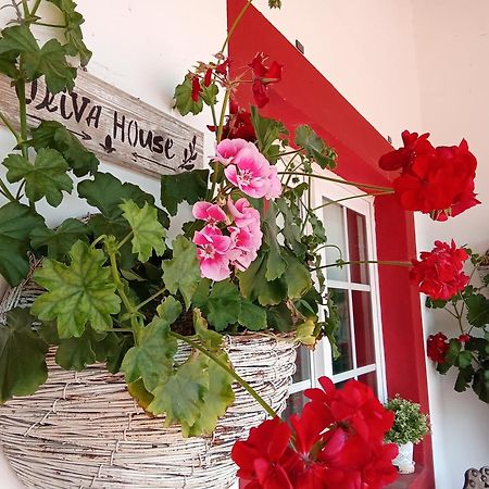 Quinta Da Mainha - Charming Houses Braga Exterior photo