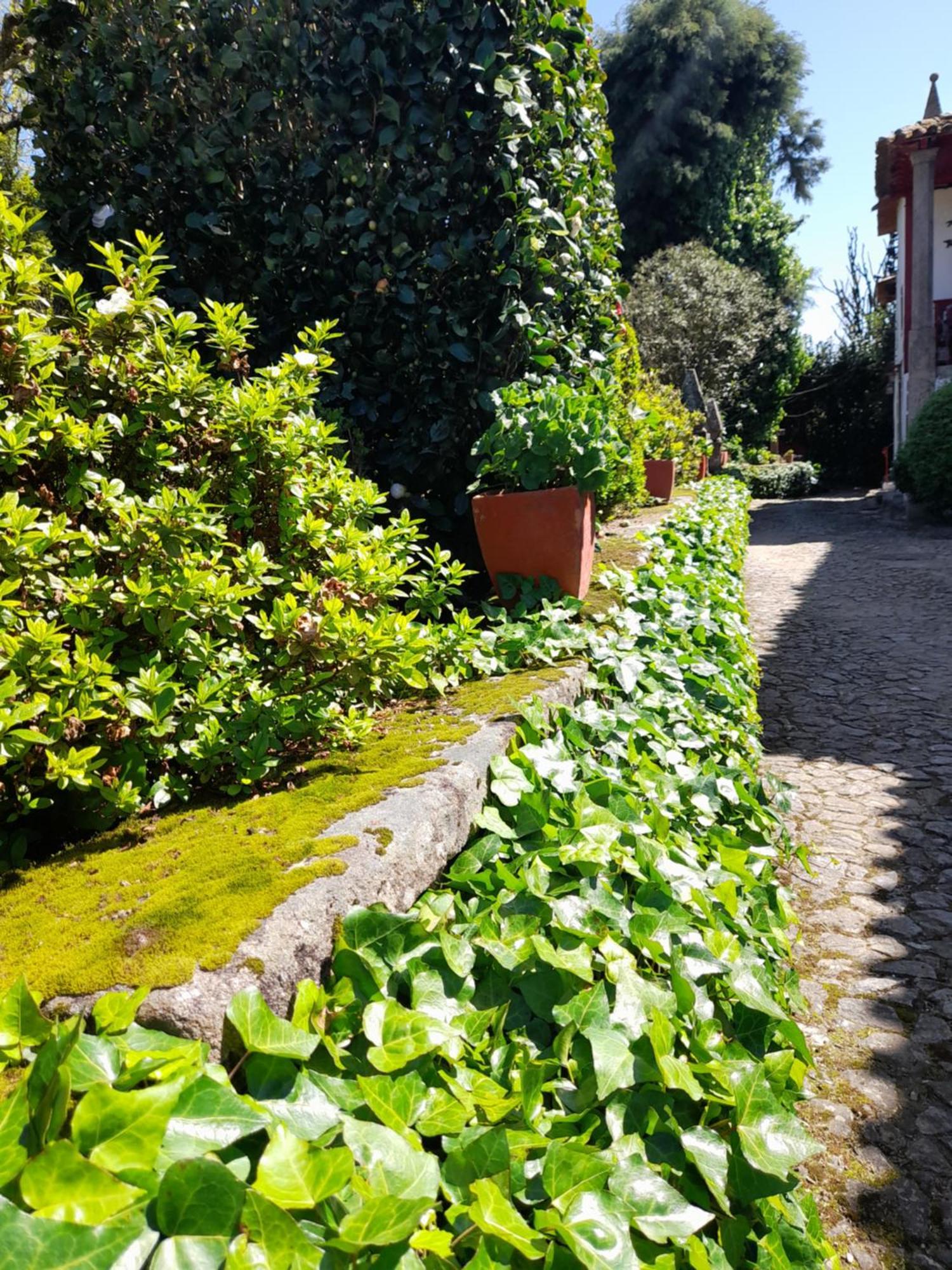 Quinta Da Mainha - Charming Houses Braga Exterior photo