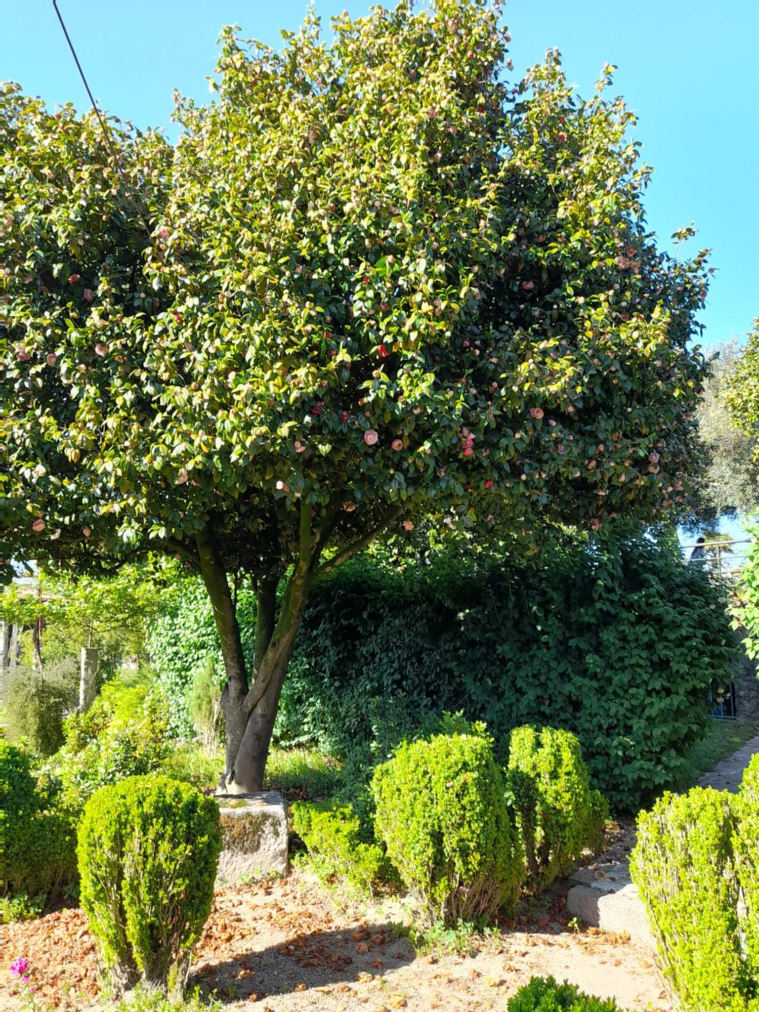 Quinta Da Mainha - Charming Houses Braga Exterior photo