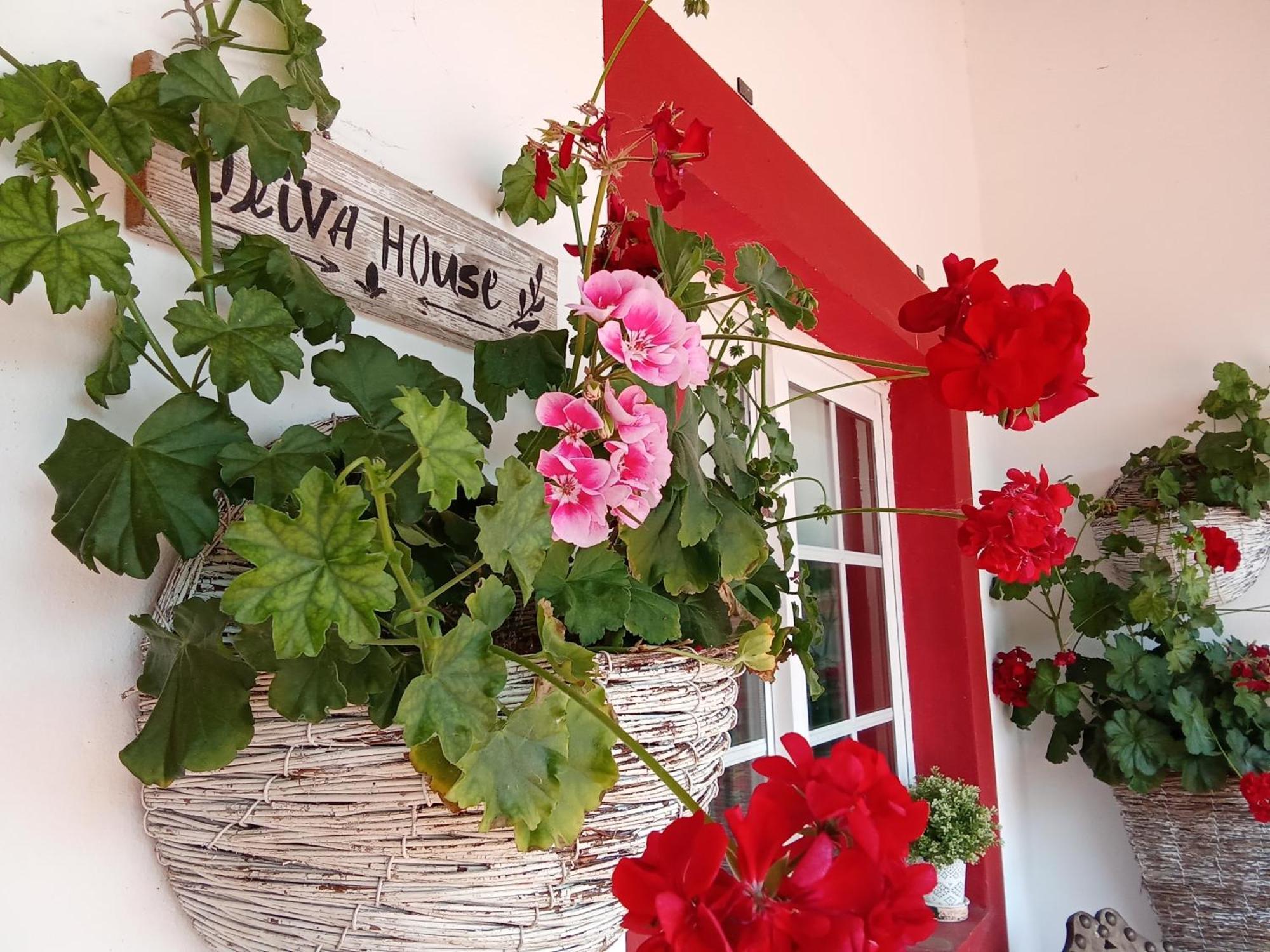 Quinta Da Mainha - Charming Houses Braga Exterior photo